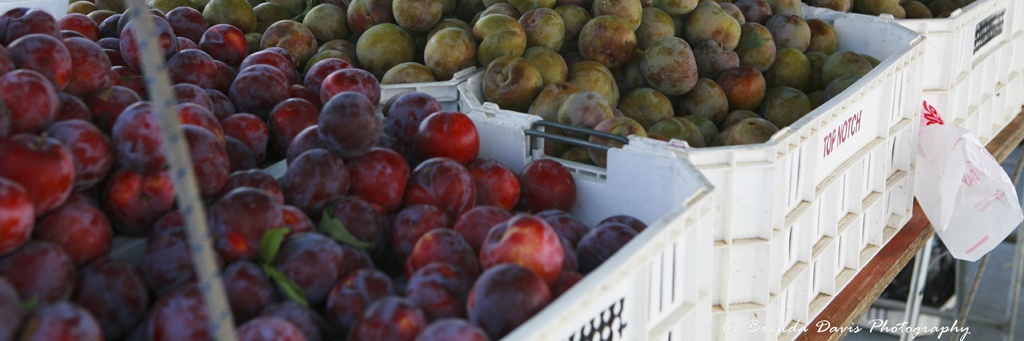 Our Wednesday Morning Farmer’s Market: Get Your Smiles and Satsumas Here Farmers-Market-VCCFM_plums_and_nectarines