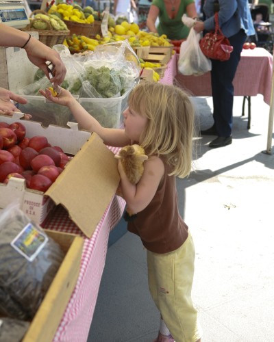 Our Wednesday Morning Farmer’s Market: Get Your Smiles and Satsumas Here VCCFM_market_customers