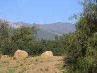 Group Service Providers Visit Ventura Listing