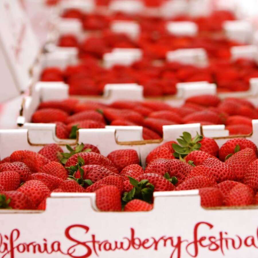 What’s New in Ventura? Events and Businesses to Check Out in May 2023 california strawberry festival
