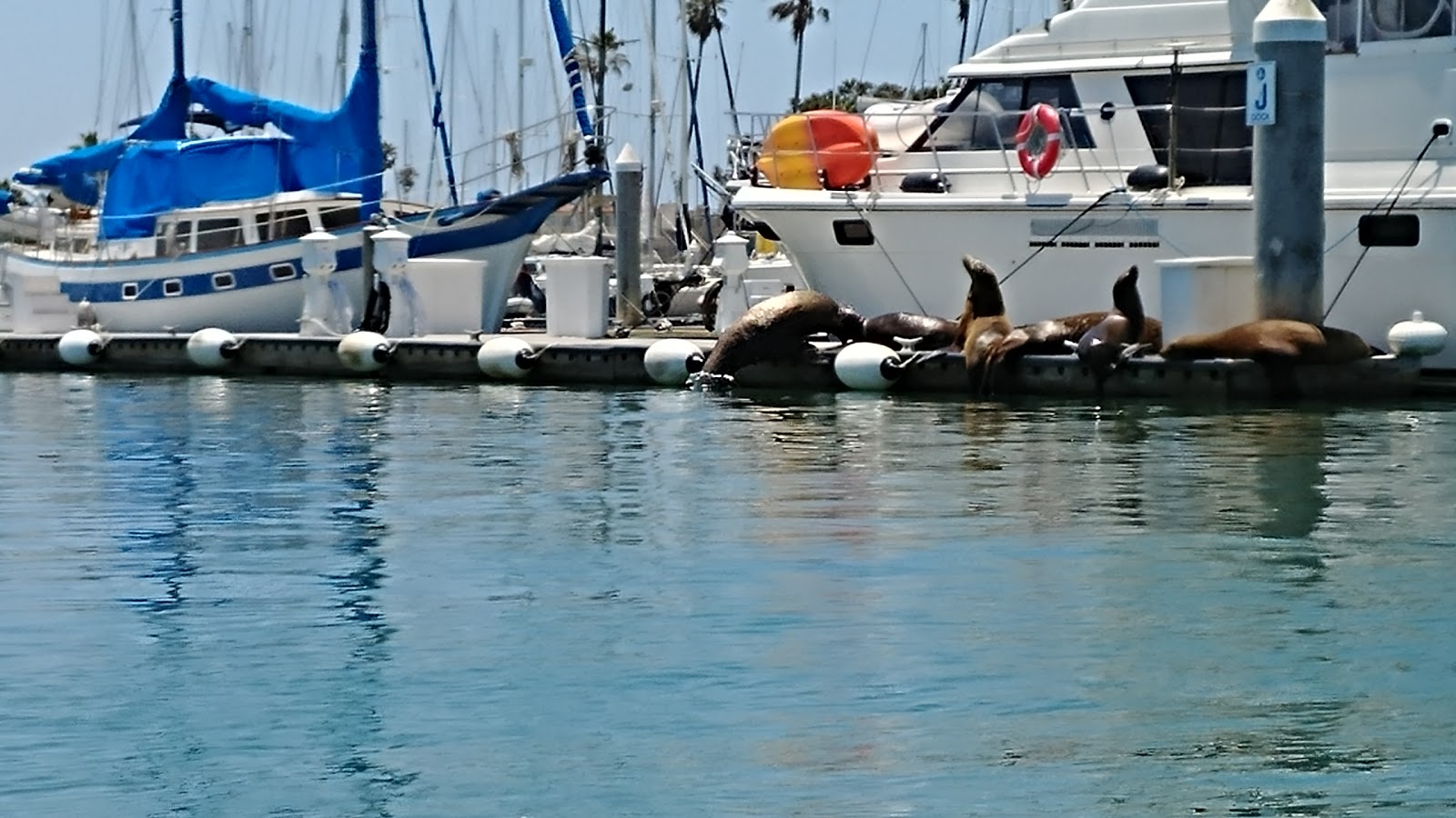 Group Service Providers Visit Ventura Listing