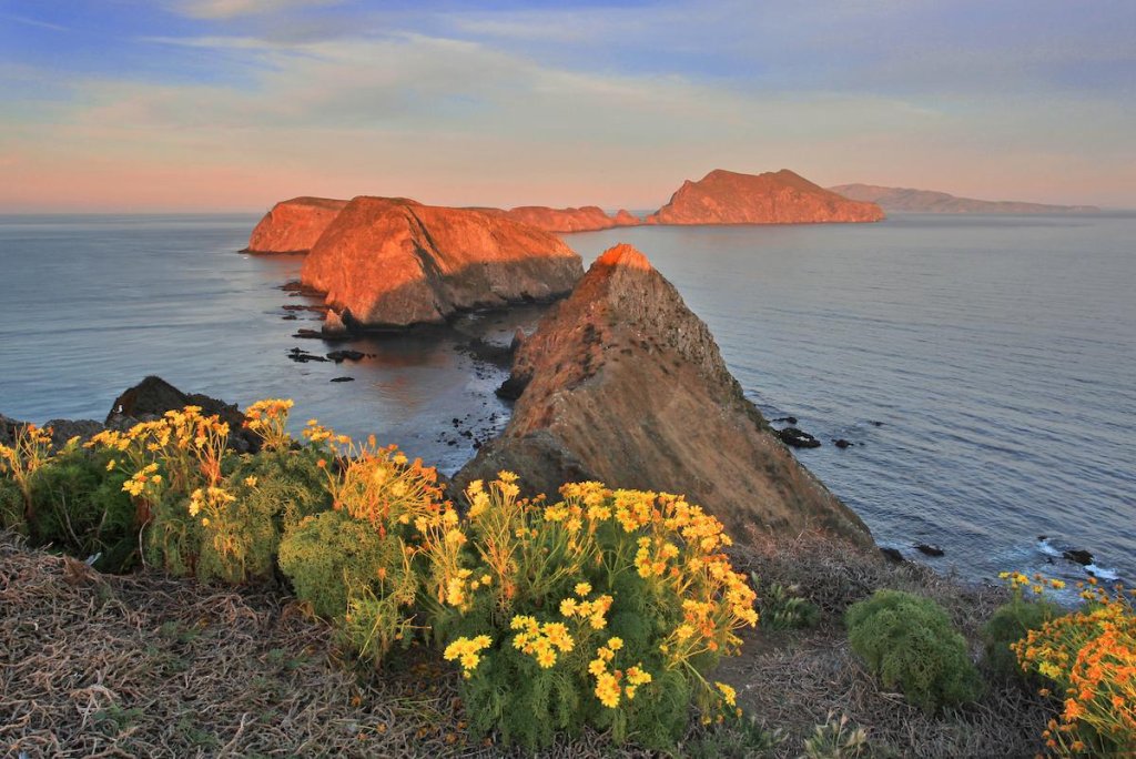 Where Can I Hike in Channel Islands National Park? Hiking in Channel Islands National Park