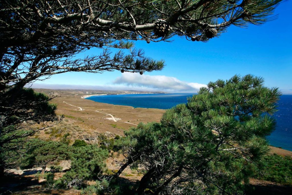 Where Can I Hike in Channel Islands National Park? Hiking in Channel Islands National Park
