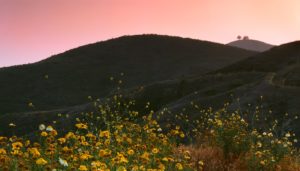 11 Incredible Experiences You Can Only Have in Ventura arroyo verde park ventura sunset