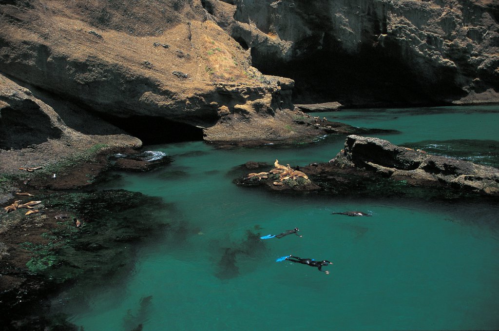 Santa Barbara Island snorkeling