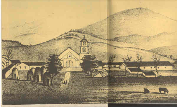 Robinson Print