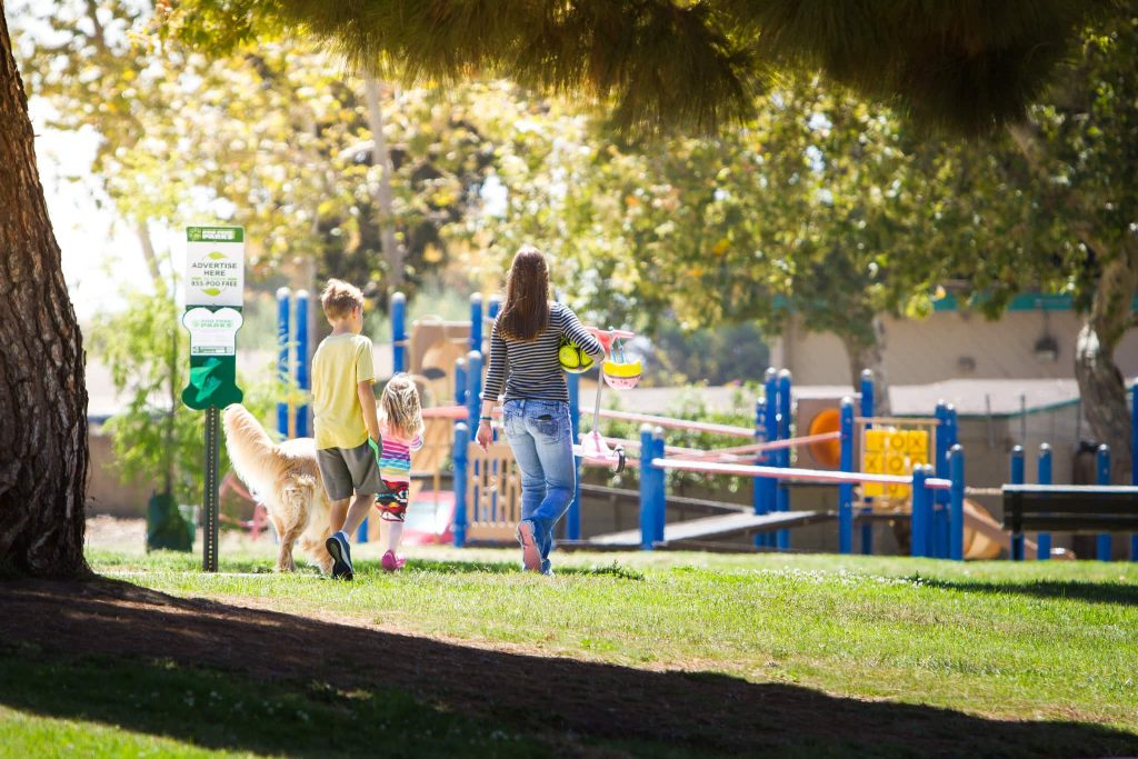 25 Top Dog Friendly Activities in Ventura, CA Camino Real Park, dog friendly
