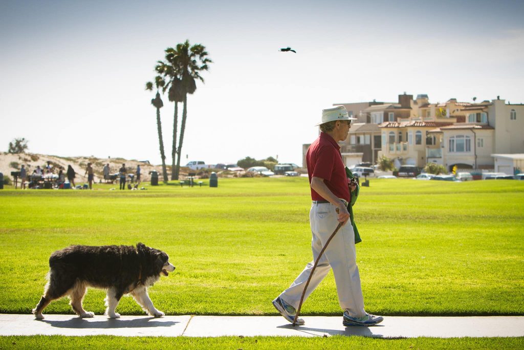 25 Top Dog Friendly Activities in Ventura, CA Dog Friendly Parks in Ventura: Marina Park