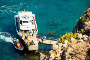 Diving through shipwrecks at Channel Islands National Marine Sanctuary
