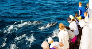 17 reasons you should NEVER take your kids to Ventura, CA dolphins island packers