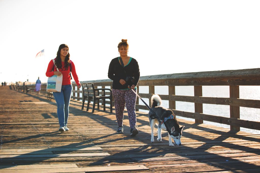 25 Top Dog Friendly Activities in Ventura, CA Dog walk on the Ventura Pier