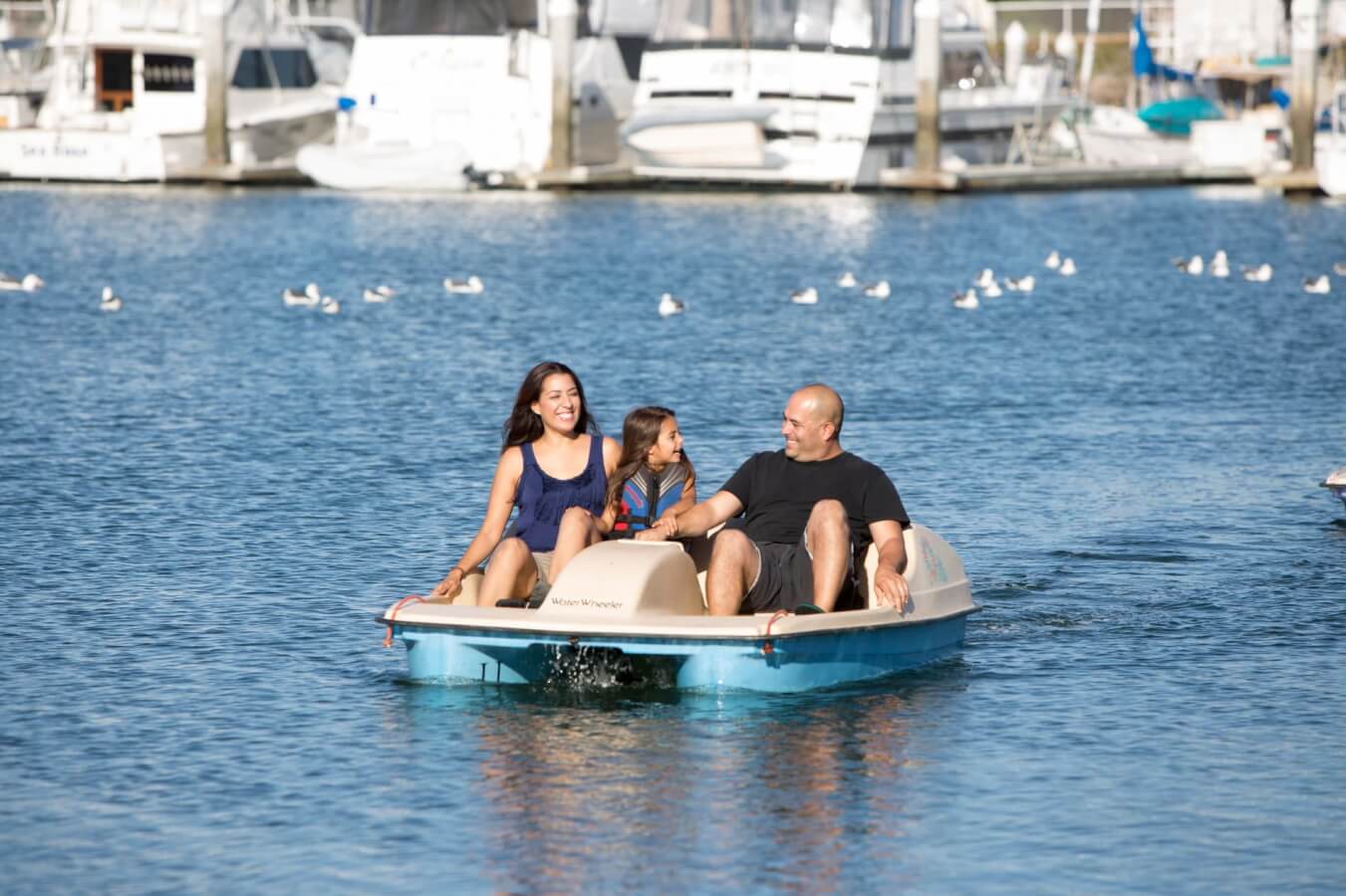 Family Fun family harbor