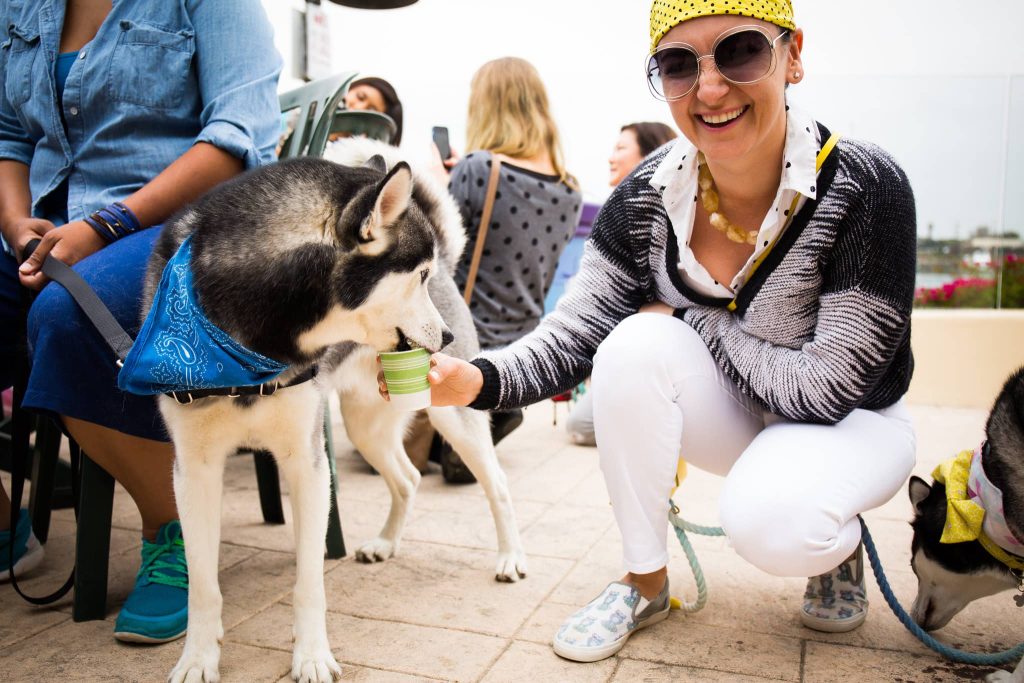 25 Top Dog Friendly Activities in Ventura, CA pup cup/pup cream at Coastal Cone