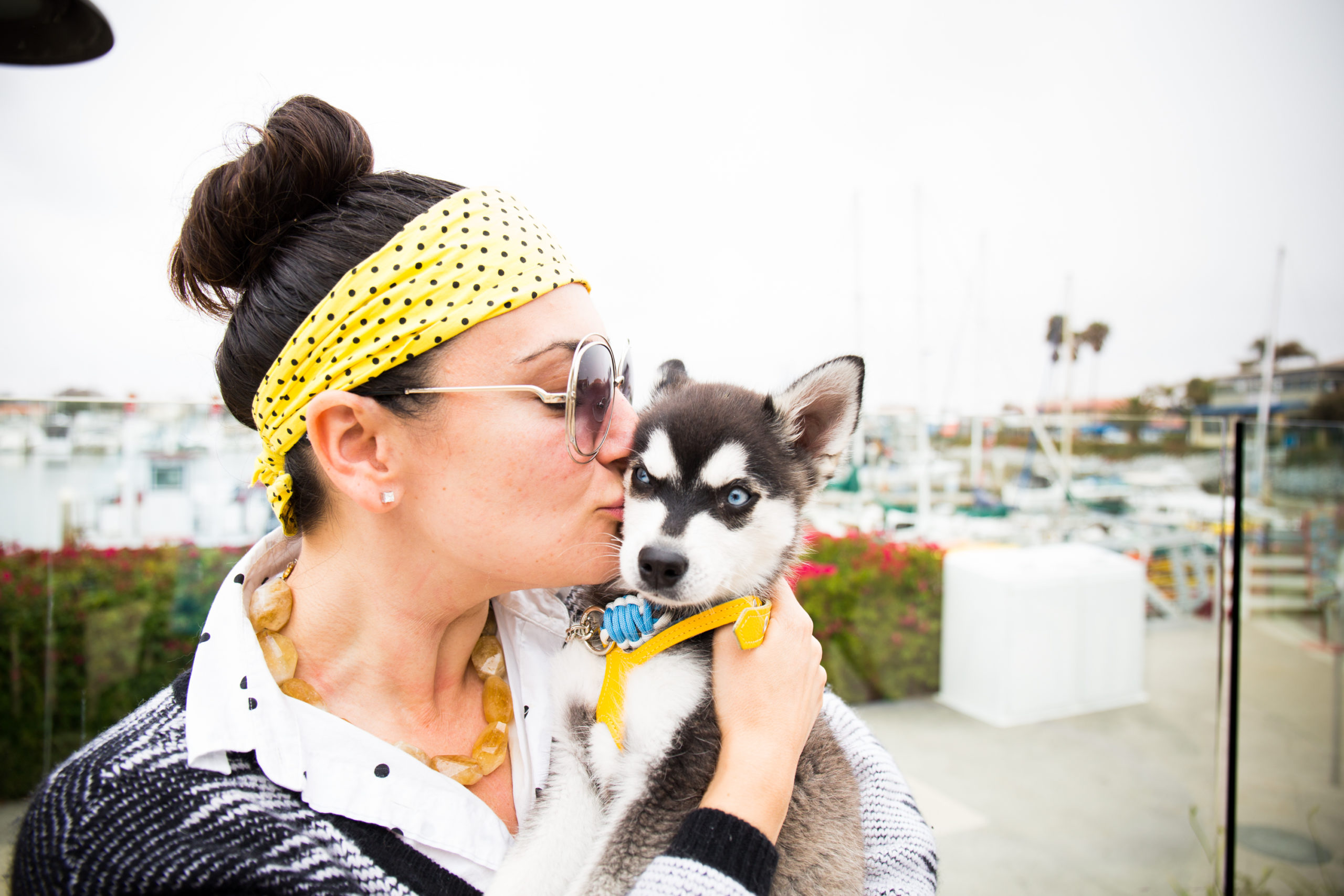 7 Reasons Why Your Dog Needs A Ventura Vacation (With You). 7 Reasons Why Your Dog Needs A Ventura Vacation (With You).