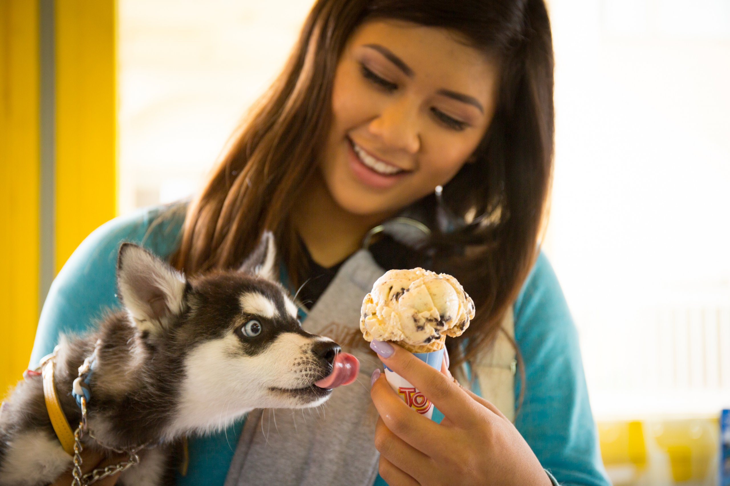 Dog Friendly Dog Friendly