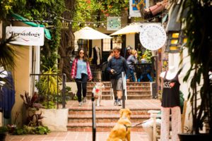 How Dog-Friendly is Ventura? ventura jardin patio dog friendly shopping