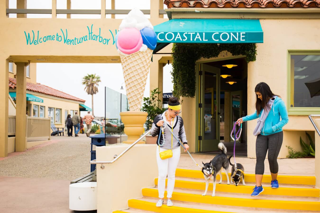 Where Can I Stay with My Dog in Ventura? Where Can I Stay with My Dog in Ventura?
