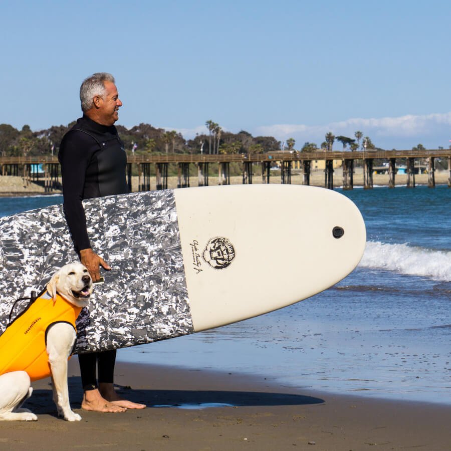 The Ultimate Ventura Travel Guide and California Road Trip Dog and owner standing at the Ventura beach