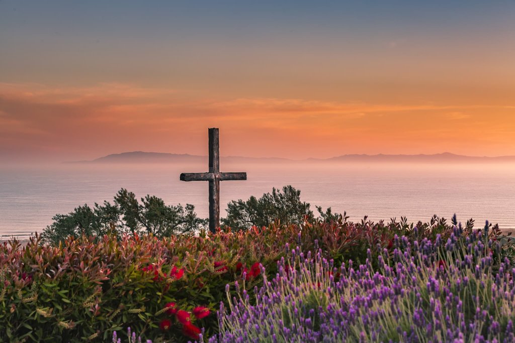 Your Bucket List in Ventura: 10 Things to Do in Town serra cross sunset ventura grant park