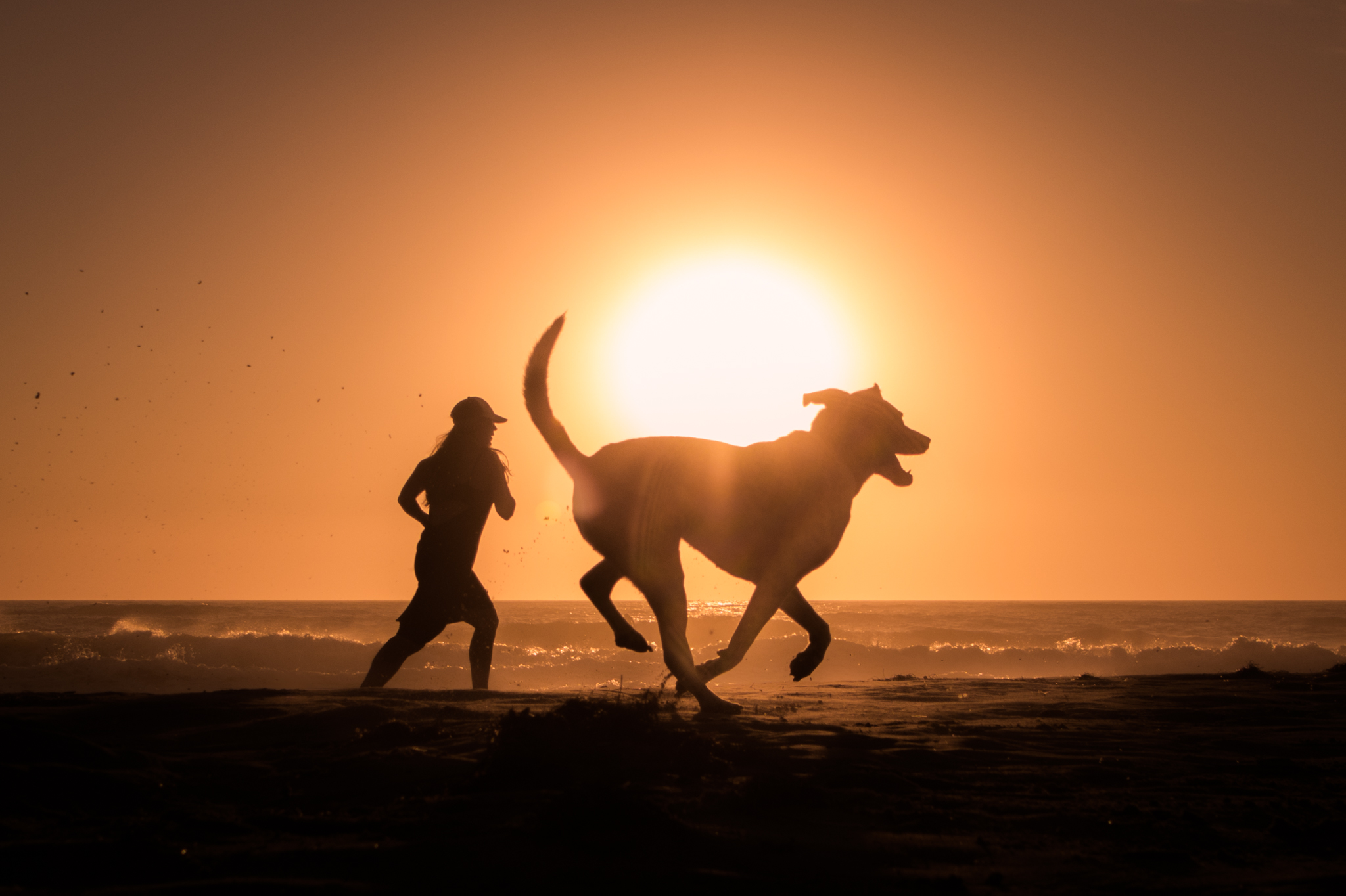 7 Reasons Why Your Dog Needs A Ventura Vacation (With You). 7 Reasons Why Your Dog Needs A Ventura Vacation (With You).