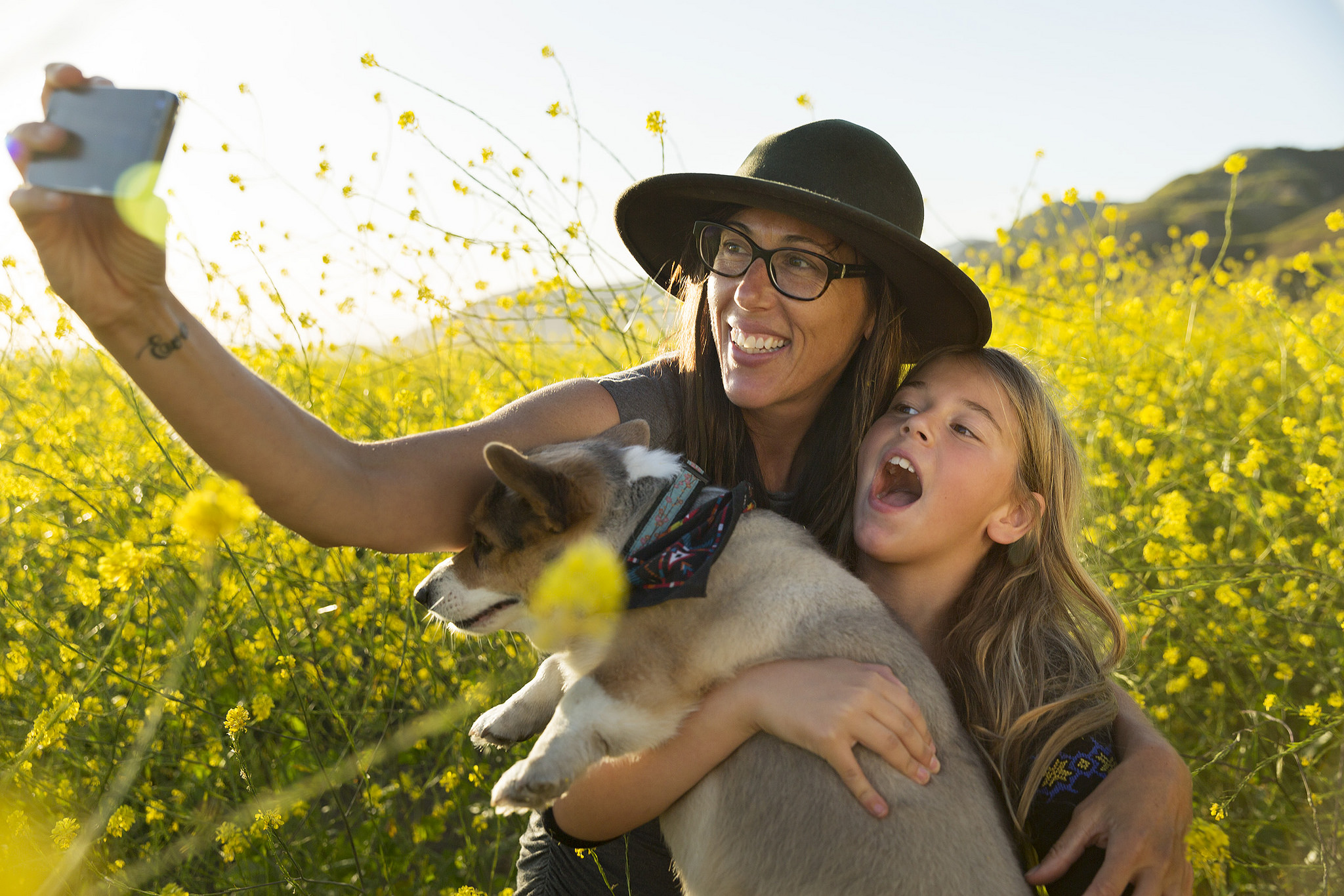 Ventura Weather: What to Expect Each Season Wildflowers by Byba Sepit