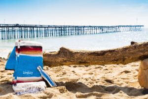 Ventura Holiday Gift Ideas and a Free Ventura Tote! ventura visitors center product