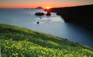 Favorite Places to Shoot Photos in Ventura, California Santa Cruz Island Channel Islands Doug Magnum Ventura