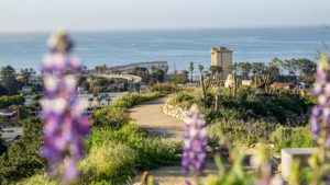 Five Wedding Panoramas that Speak to Love’s Permanence... ventura botanical gardens wedding