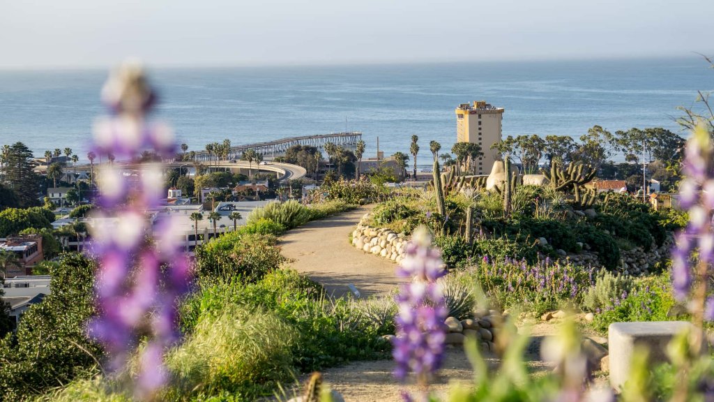 Here are 5 Places to Enjoy the Outdoors in Ventura Ventura botanical Gardens