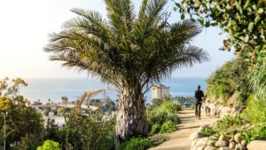 A Dog's Dream ventura botanical gardens dog friendly