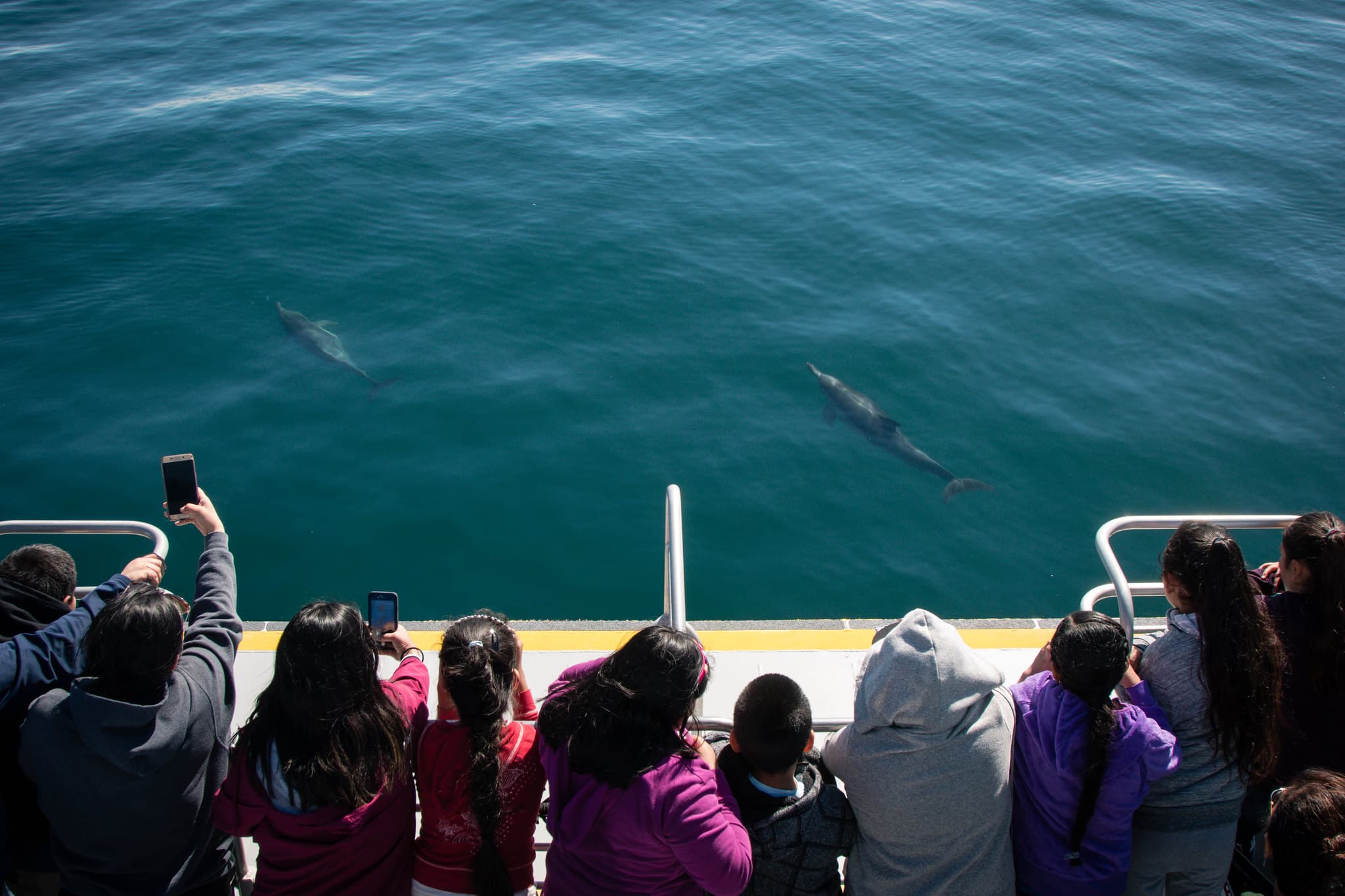 What Can My Family Do in Ventura? Things to do with kids in Ventura