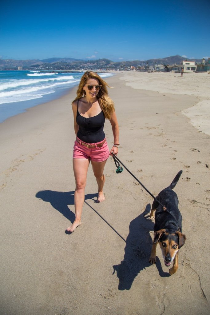 What Can I Do With My Dog in Ventura?  What Can I Do With My Dog in Ventura?