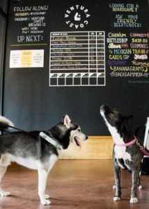 ventura coast brewery dog friendly