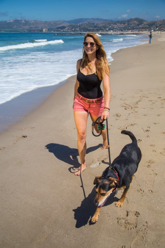 25 Top Dog Friendly Activities in Ventura, CA Dog friendly South Seaward