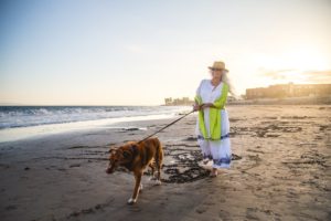 How Dog-Friendly is Ventura? maria snickers ventura beach dog friendly