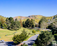 Group Service Providers Visit Ventura Listing