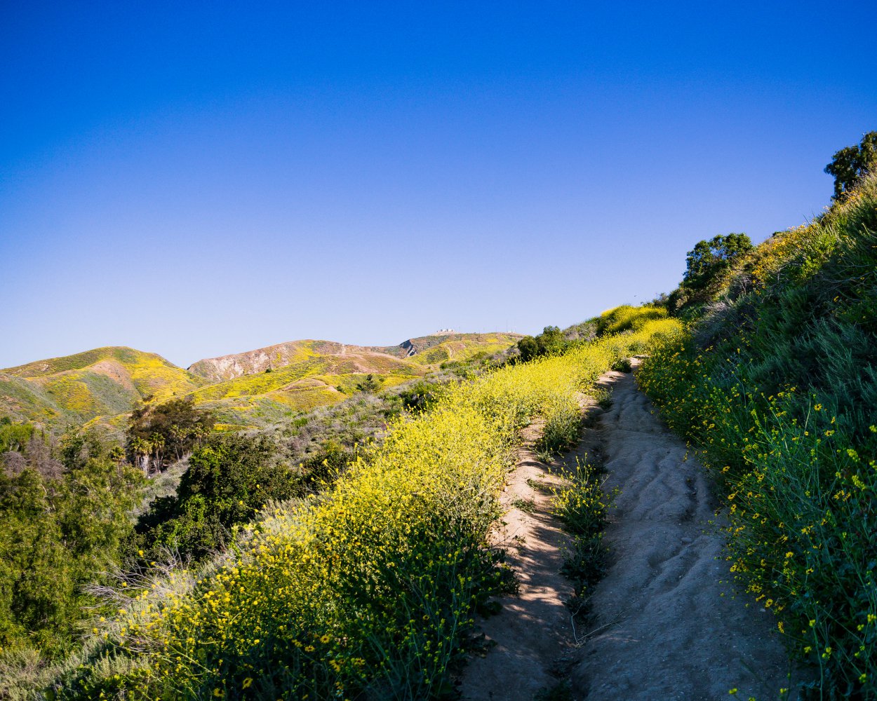 Top Ten Hikes in and Around Ventura Hiking Trails In Ventura County