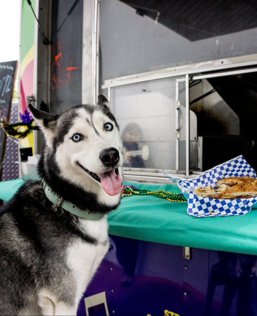 What Can I Do With My Dog in Ventura?  food truck with dog