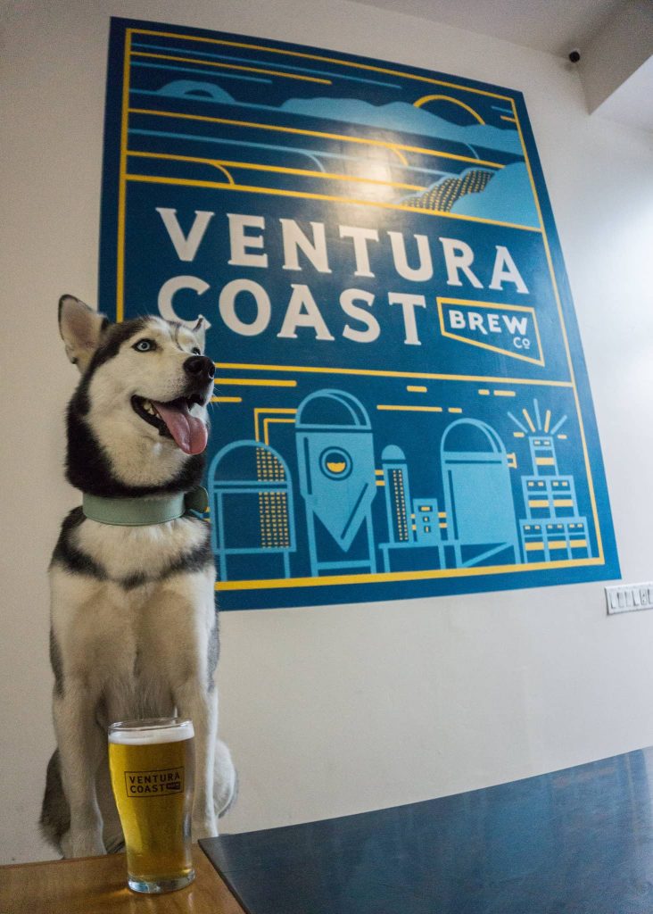 25 Top Dog Friendly Activities in Ventura, CA Ventura Breweries, dog friendly, Ventura Coast Brewing