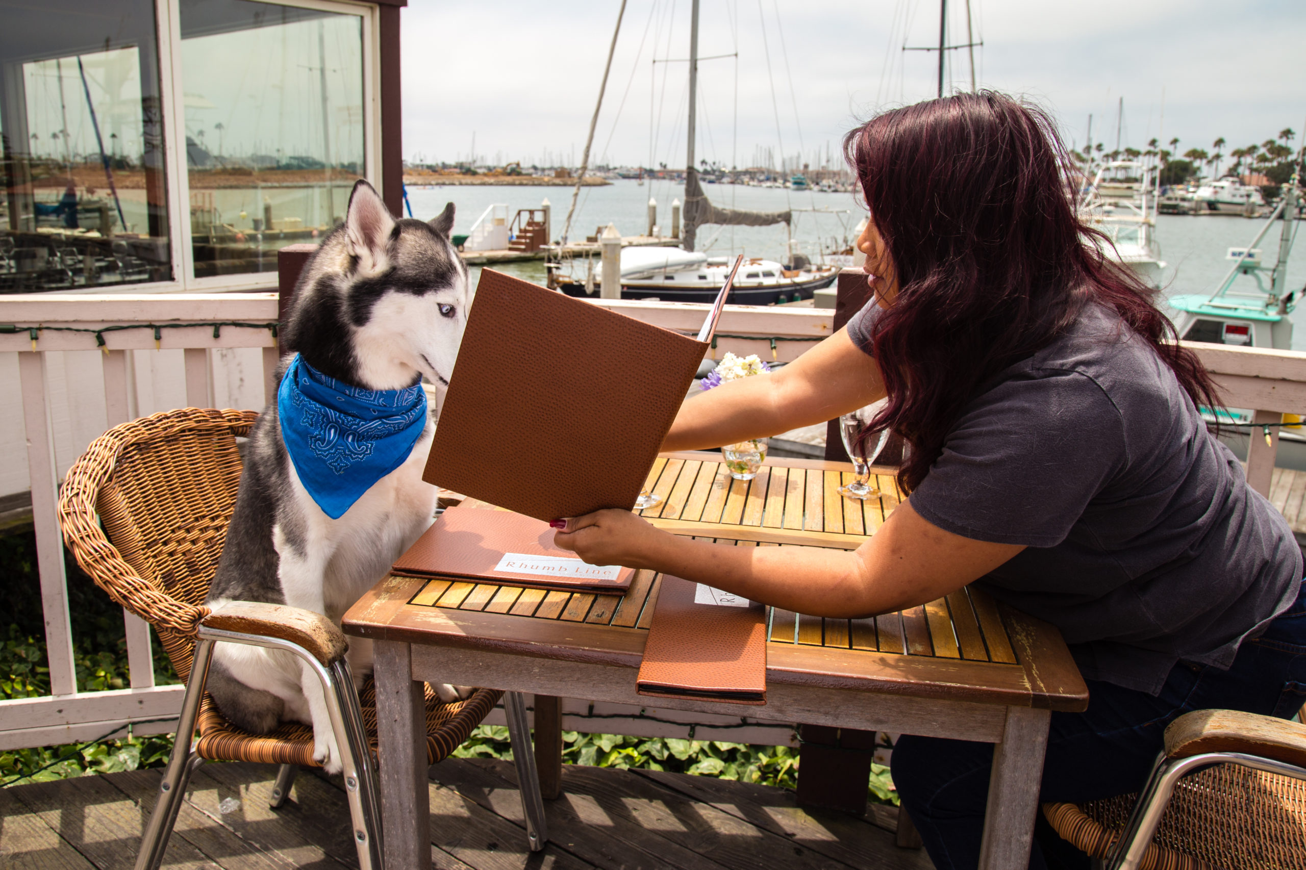 7 Reasons Why Your Dog Needs A Ventura Vacation (With You). 7 Reasons Why Your Dog Needs A Ventura Vacation (With You).