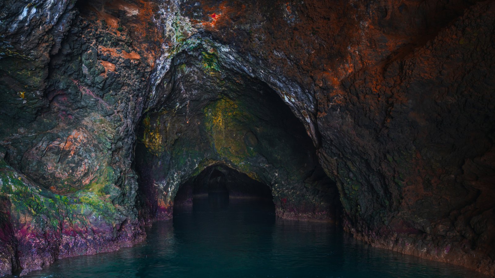 Ten Fun Facts about Channel Islands National Park Ten Fun Facts about Channel Islands National Park