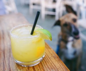 20 Things You'd be Wise to do in Ventura in 2020 rumfish y vino ventura happy hour drinks and cocktails