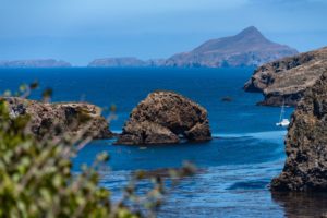 12 Facts you didn't know about Ventura, CA channel islands national park