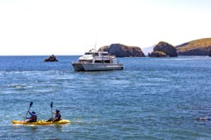 20 Things You'd be Wise to do in Ventura in 2020 ventura channel islands national park kayaking