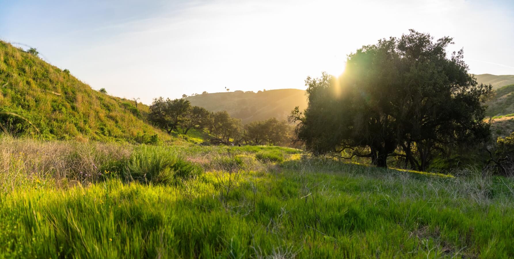 Top 30 Things to Do in Ventura harmon canyon