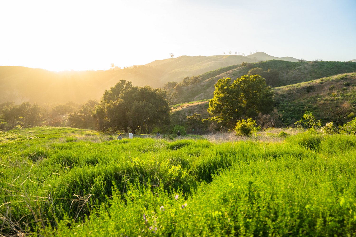 Top Ten Hikes in and Around Ventura Ventura Hiking Trails