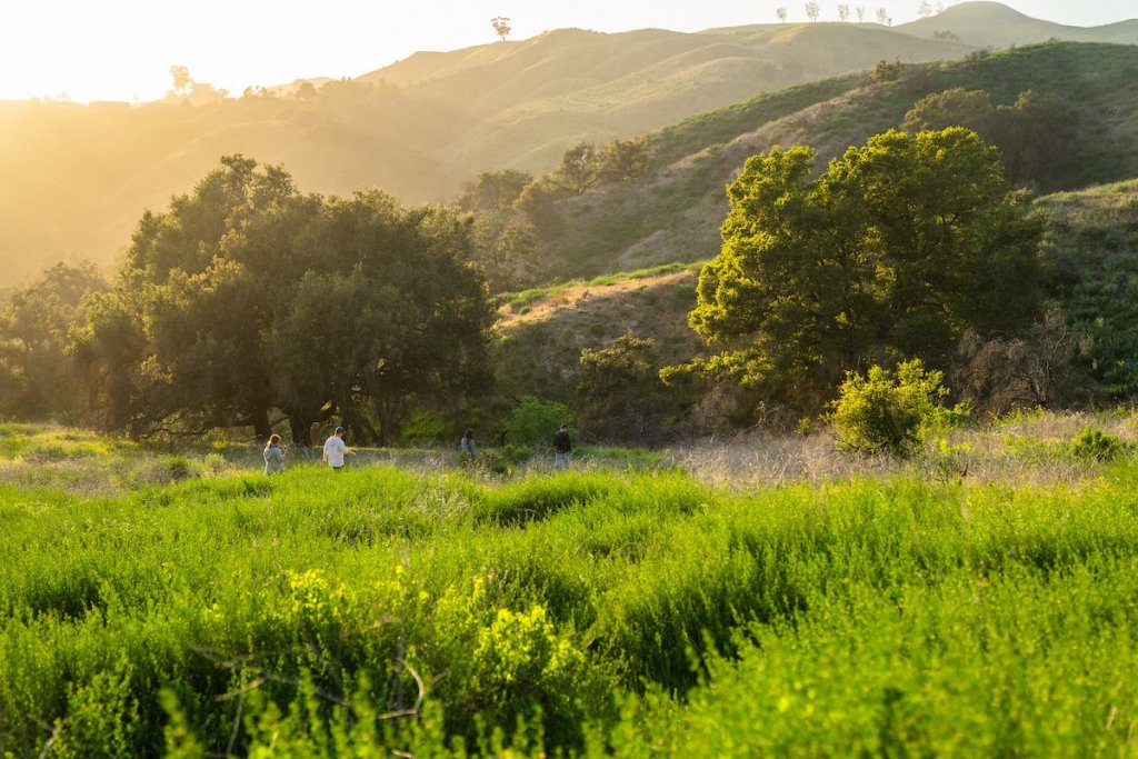 Here are 5 Places to Enjoy the Outdoors in Ventura harmon canyon