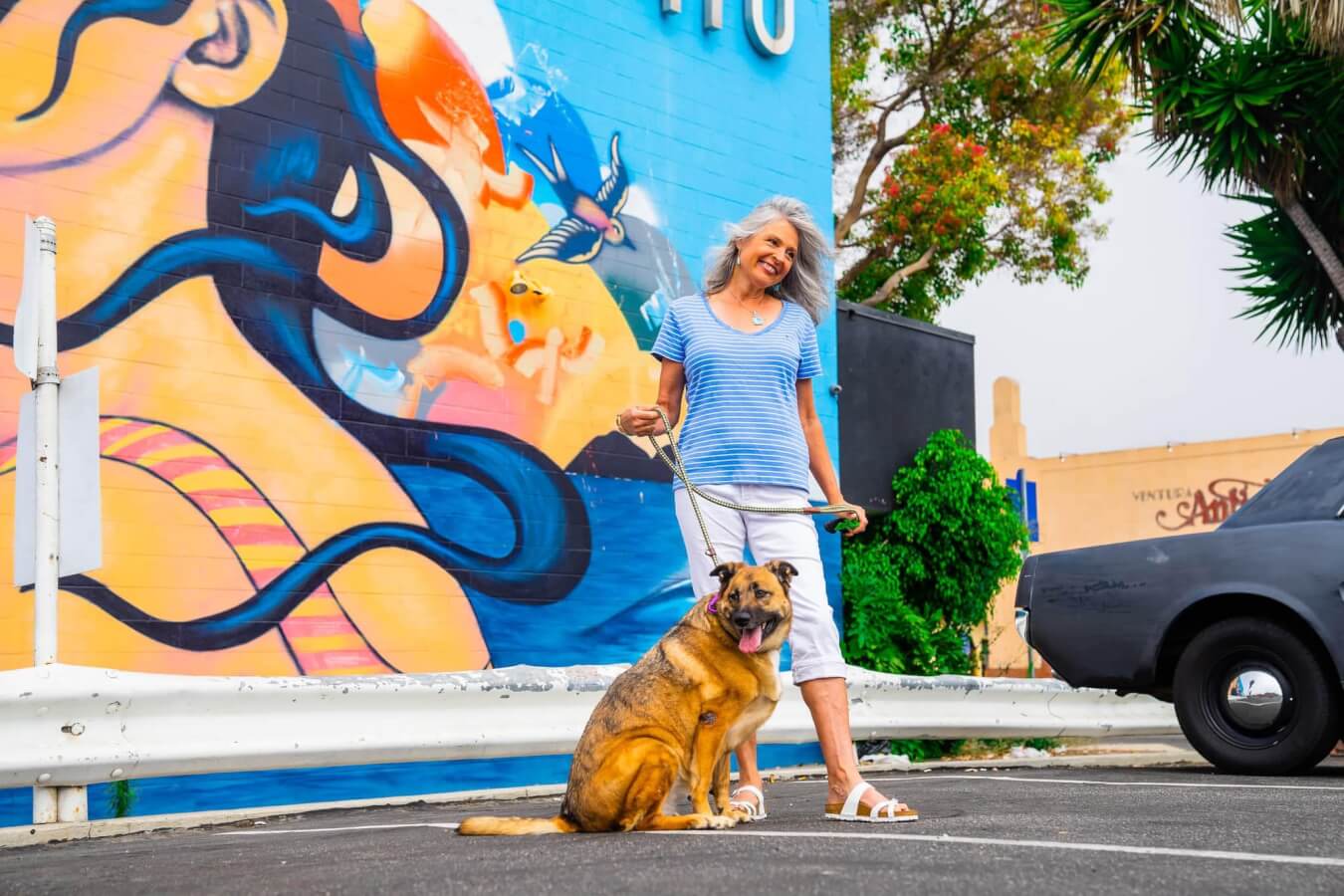 Where Can I Stay with My Dog in Ventura? dog mural
