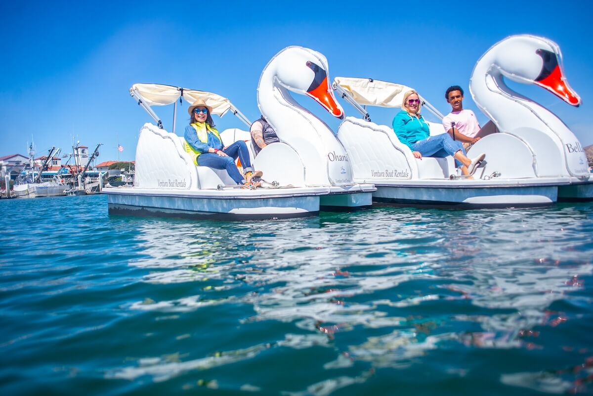 Fun Things to do with Kids in Ventura swan boats at the ventura harbor