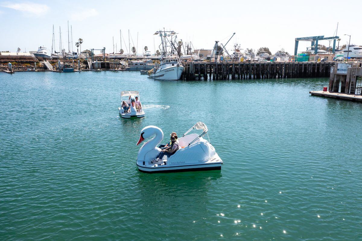 What Can My Family Do in Ventura? swan boats at the ventura harbor